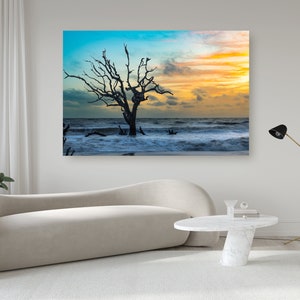 Jekyll Island Canvas, Jekyll Island, Jekyll Island ga, Jekyll Island Art, Driftwood Beach Art, Driftwood Beach ga, Jekyll Island Print