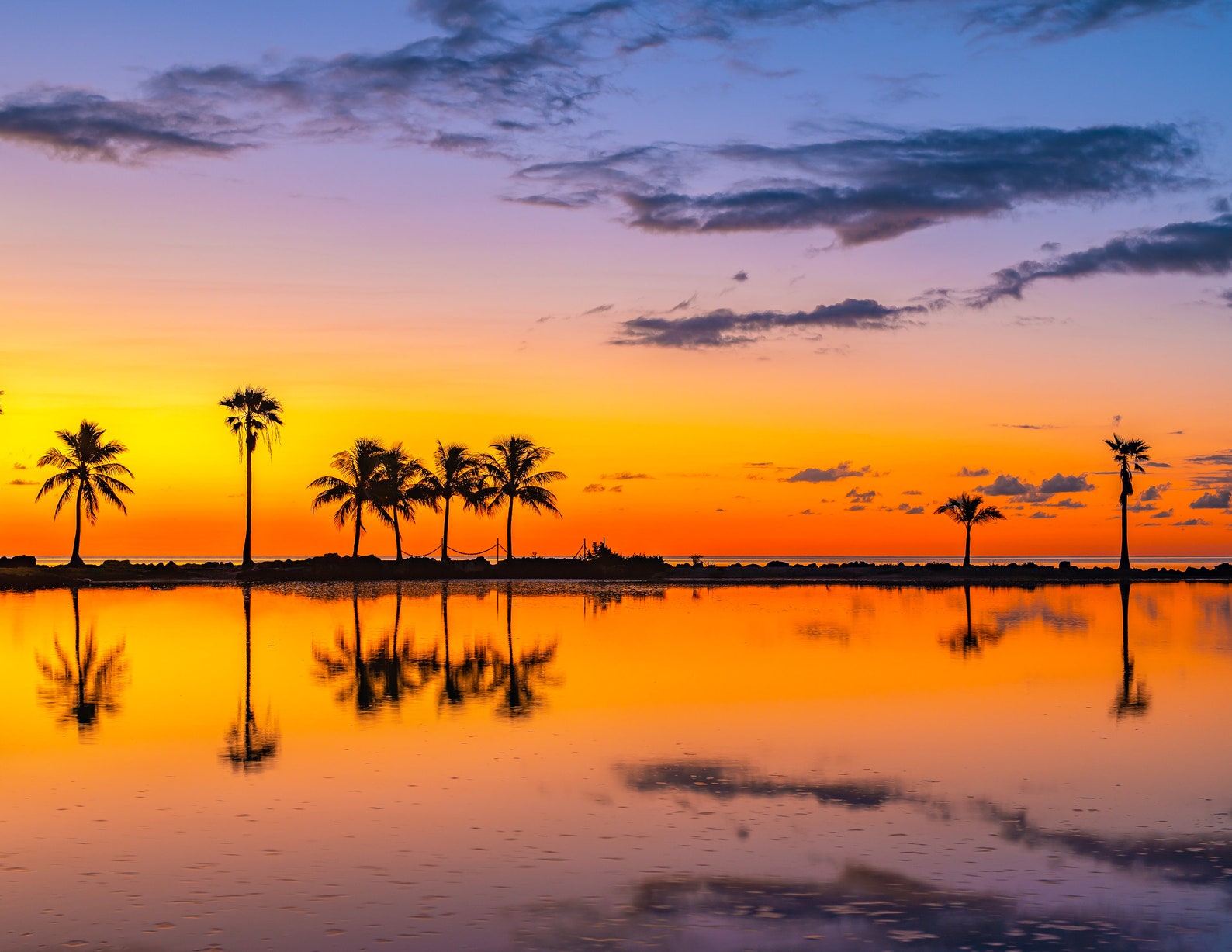 Golden Hour Sunrise Florida Miami Photography Miami Decor Etsy