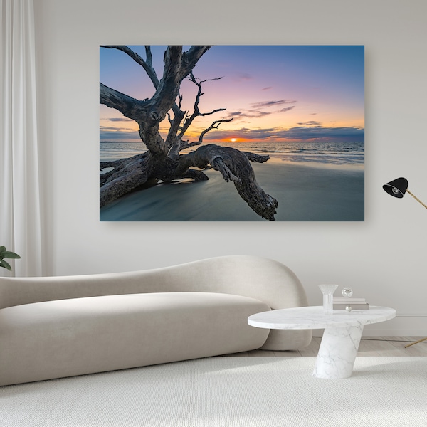 Driftwood Beach Art Etsy