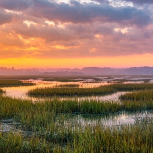 May include: A scenic landscape photograph of a marsh at sunrise. The sky is a vibrant orange and pink, with clouds reflecting in the water. The marsh is covered in green grasses and reeds, with winding channels of water.