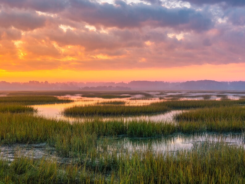 May include: A scenic landscape photograph of a marsh at sunrise. The sky is a vibrant orange and pink, with clouds reflecting in the water. The marsh is covered in green grasses and reeds, with winding channels of water.