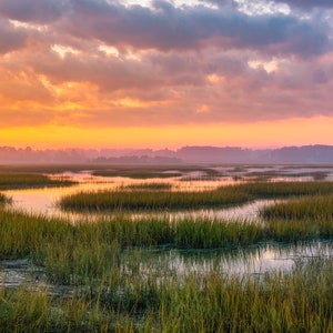 May include: A scenic landscape with a vast expanse of green marsh grasses and winding waterways. The sky is ablaze with a vibrant orange and pink sunset, creating a breathtaking scene.