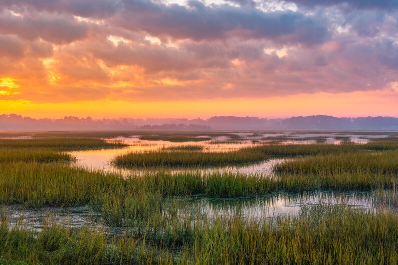 May include: A scenic landscape with a vast expanse of green marsh grasses and winding waterways. The sky is ablaze with a vibrant orange and pink sunset, creating a breathtaking scene.