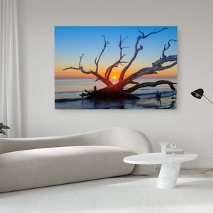 Jekyll Island Poster, Jekyll Island Canvas, Jekyll Island Georgia, Jekyll Island Art, Driftwood Beach Art, Driftwood Beach, Driftwood Beach