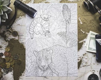 Coloriage "Jungle", coloring page, wild animals, plants