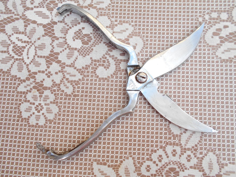 Vintage French poultry scissors
