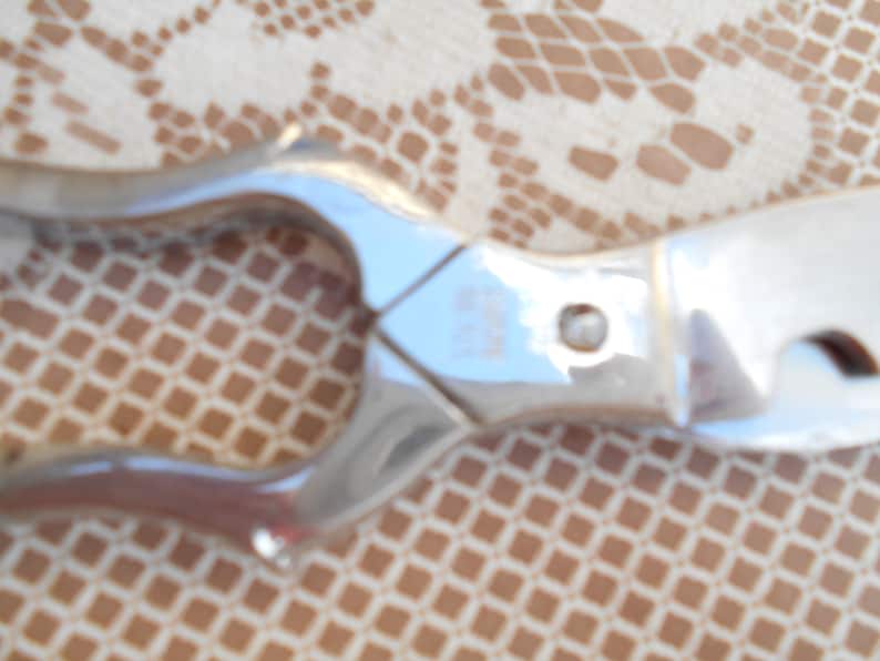 Vintage French poultry scissors