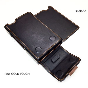 Lotoo PAW Gold Touch Leather case