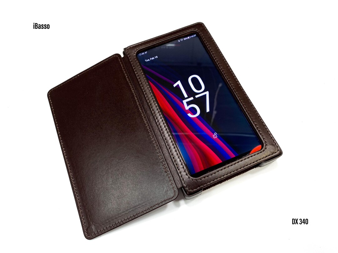 iBasso Audio 200 純正ケース　おまけVALENTINUMケース iBasso Audio 200 純正ケース おまけVALENTINUMケース