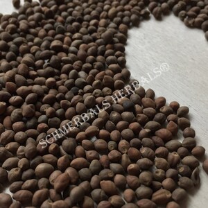 Whole All Natural Rivea Corymbosa, Untreated Viable Seeds for sale from Schmerbals Herbals