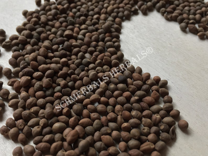 Whole All Natural Rivea Corymbosa, Untreated Viable Seeds for sale from Schmerbals Herbals