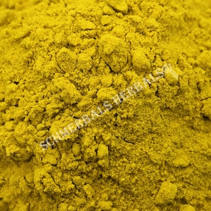 Cassumunar Ginger, Zingiber cassumunar, 1 kg All Natural Rhizome Powder ~ Schmerbals Herbals®