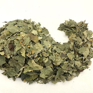 Dried All Natural Mexican Dream Herb Leaf, Calea Zacatechichi (Calea ternifolia) for sale from Schmerbals Herbals