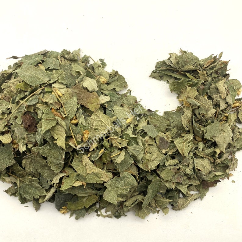 Dried All Natural Mexican Dream Herb Leaf, Calea Zacatechichi (Calea ternifolia) for sale from Schmerbals Herbals