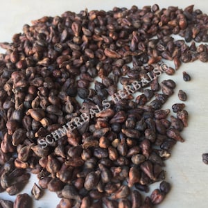 Dried Whole Grape Seed, Vitis vinifera, for Sale from Schmerbals Herbals®