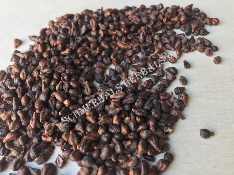 Dried Whole Grape Seed, Vitis vinifera, for Sale from Schmerbals Herbals®