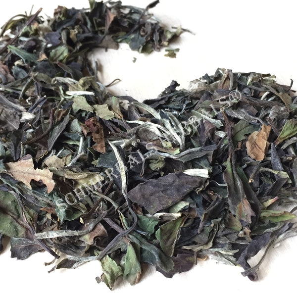 Tea, Camellia sinensis, White Loose Leaf Tea ~ Schmerbals Herbals®