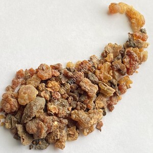 Myrrh Gum, Commiphora molmol, First Cut Pieces Schmerbals Herbals® image 3