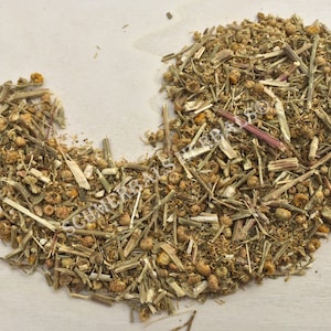 Wormwood, Artemisia absinthium, Herb ~ Schmerbals Herbals