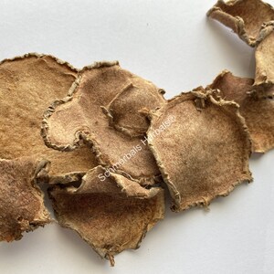 Turmeric, Curcuma xanthorrhiza, All Natural &quot;Javanese Turmeric&quot; Rhizome Slices ~ Schmerbals Herbals®