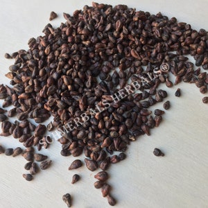 Dried Whole Grape Seed, Vitis vinifera, for Sale from Schmerbals Herbals®