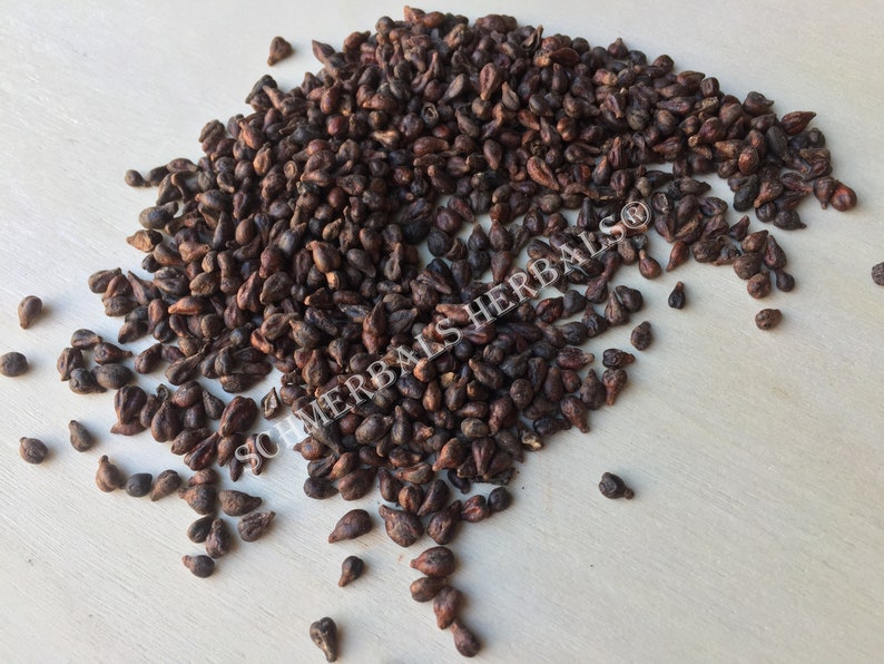 Dried Whole Grape Seed, Vitis vinifera, for Sale from Schmerbals Herbals®
