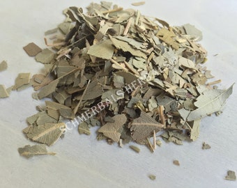 Eucalyptus, Eucalyptus globulus, Leaf ~ Schmerbals Herbals®