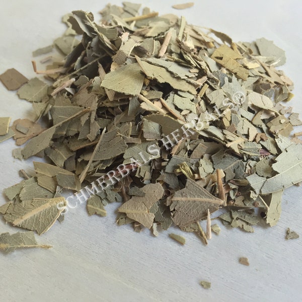 Eucalyptus, Eucalyptus globulus, Leaf ~ Schmerbals Herbals®