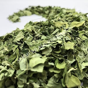 Drumstick Tree, Moringa oleifera, All Natural Leaves ~ Schmerbals Herbals®