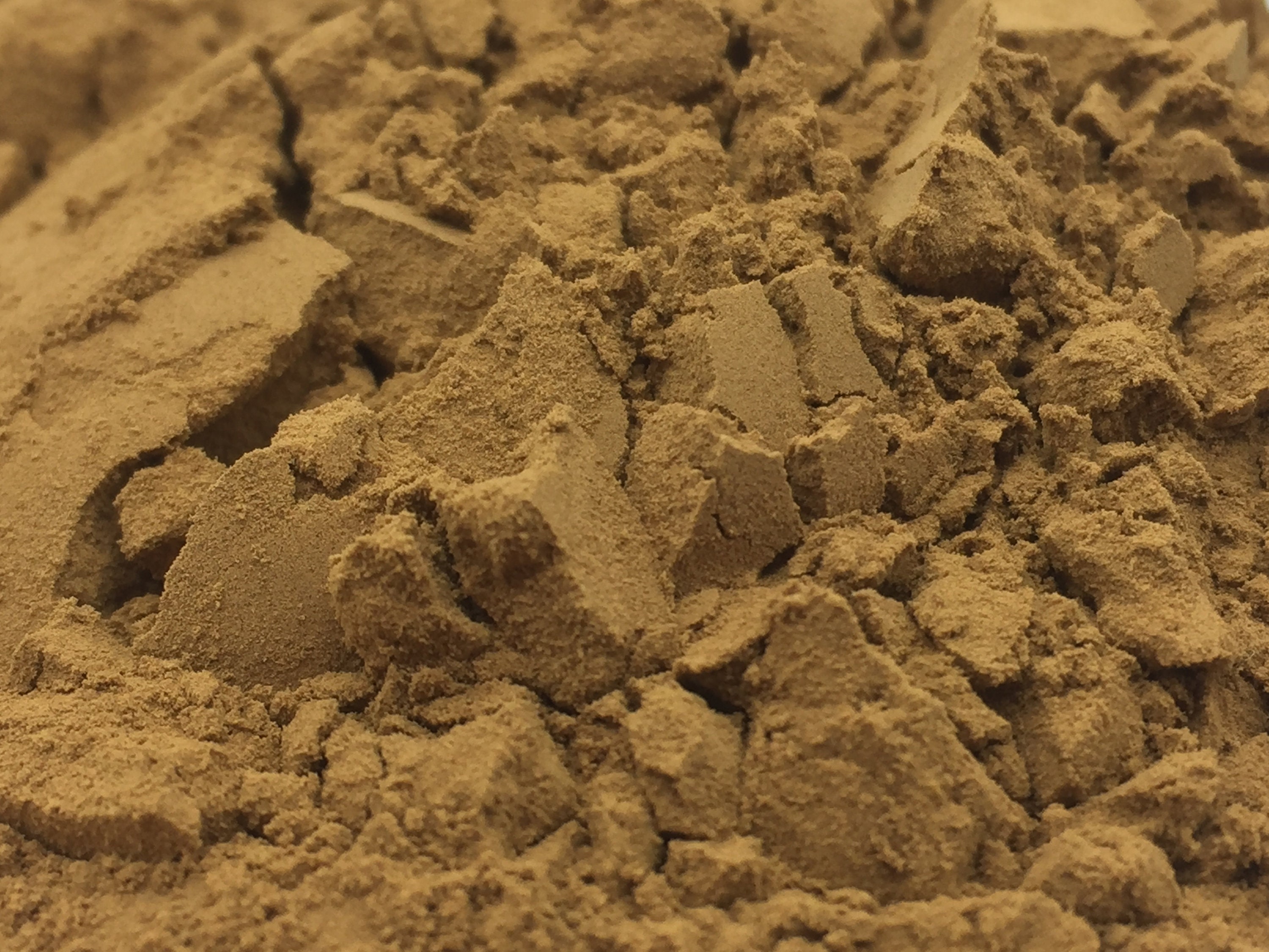 Zornia latifolia 1 kg Organic 50X Powder Extract ~ Sacred Herbs and Spices from Schmerbals Herbals Maconha Brava