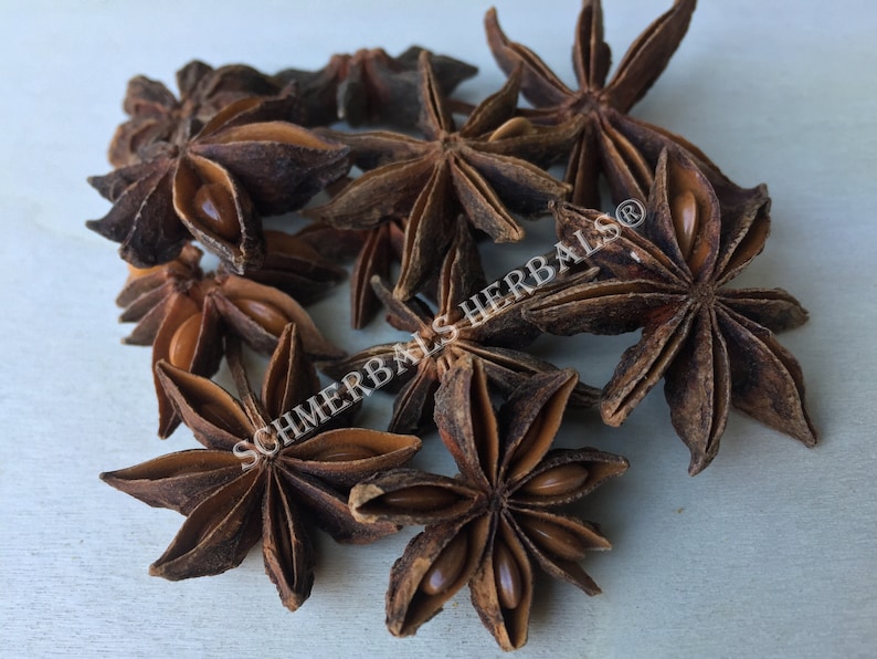 Dried Star Anise Whole Flower and Flower Pieces, Illicium verum, for Sale from Schmerbals Herbals