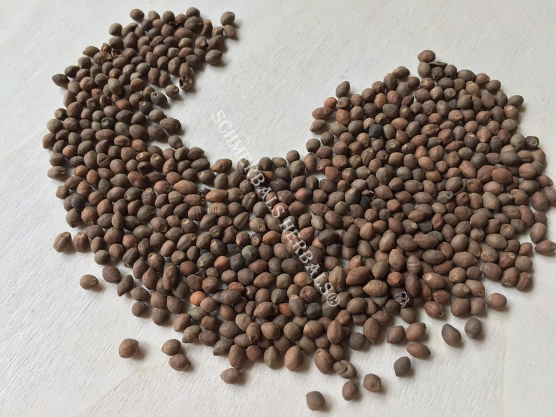 Whole All Natural Rivea Corymbosa, Untreated Viable Seeds for sale from Schmerbals Herbals