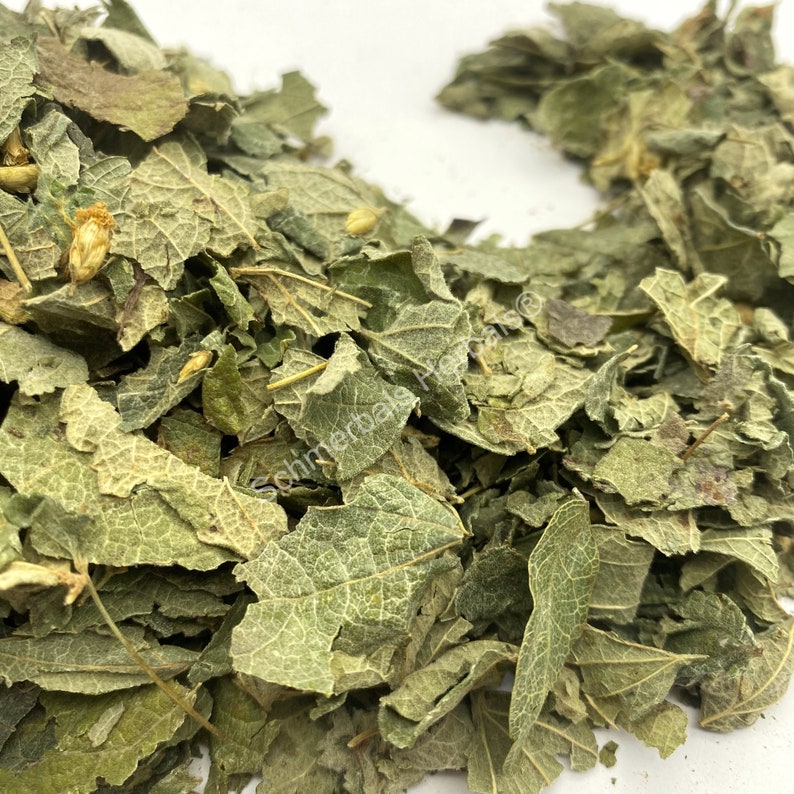 Dried All Natural Mexican Dream Herb Leaf, Calea Zacatechichi (Calea ternifolia) for sale from Schmerbals Herbals