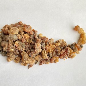 Myrrh Gum, Commiphora molmol, First Cut Pieces Schmerbals Herbals® image 4