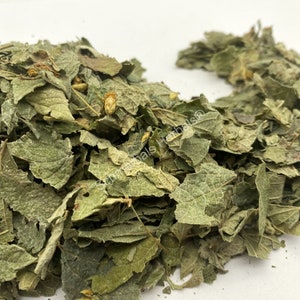 Dream Herb, Calea zacatechichi, All Natural Mexican Dream Herb Leaf ~ Schmerbals Herbals®