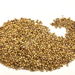 Coriander, Coriandrum sativum, All Natural Whole Seed ~ Schmerbals Herbals®