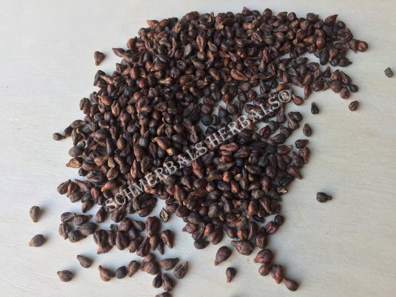 Dried Whole Grape Seed, Vitis vinifera, for Sale from Schmerbals Herbals®