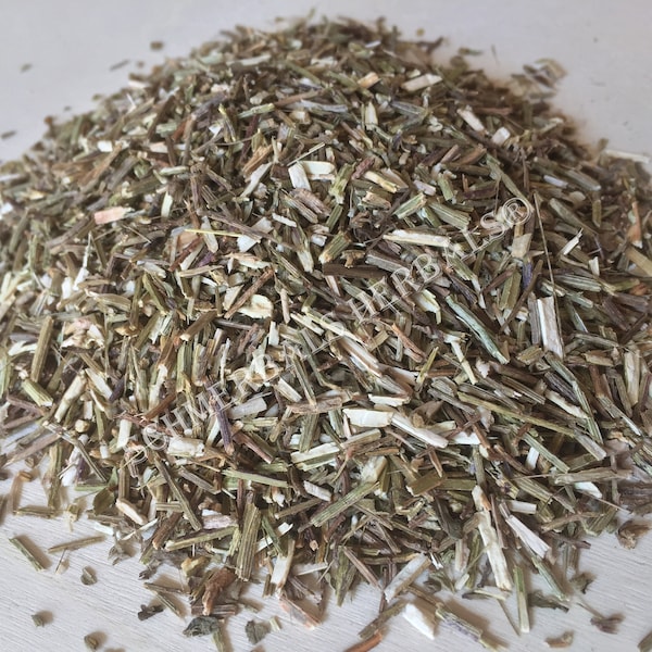 Vervain, Verbena officinalis, All Natural Herb ~ Schmerbals Herbals®