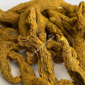 All Natural Common Turmeric Rhizome Pieces, Curcuma longa for sale from Schmerbals Herbals