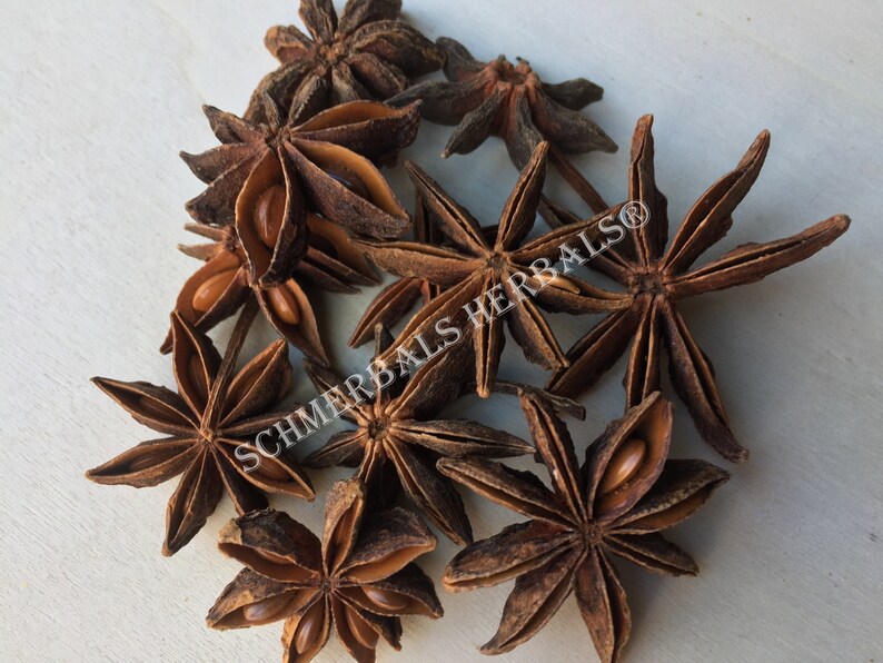 Dried Star Anise Whole Flower and Flower Pieces, Illicium verum, for Sale from Schmerbals Herbals