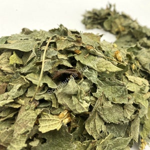 Dried All Natural Mexican Dream Herb Leaf, Calea Zacatechichi (Calea ternifolia) for sale from Schmerbals Herbals