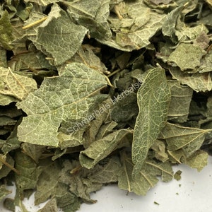 Dried All Natural Mexican Dream Herb Leaf, Calea Zacatechichi (Calea ternifolia) for sale from Schmerbals Herbals