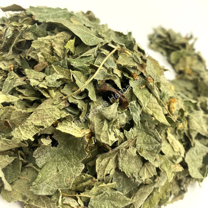 Dried All Natural Mexican Dream Herb Leaf, Calea Zacatechichi (Calea ternifolia) for sale from Schmerbals Herbals