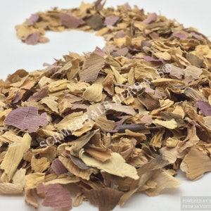Sacred Lotus, Nelumbo nucifera, Pink Petals ~ Schmerbals Herbals®