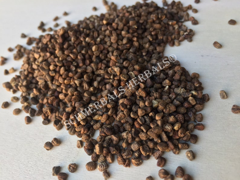 Dried Organic Hulled Cardamom Seed, Elettaria cardamomum, for Sale from Schmerbals Herbals®