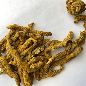 All Natural Common Turmeric Rhizome Pieces, Curcuma longa for sale from Schmerbals Herbals
