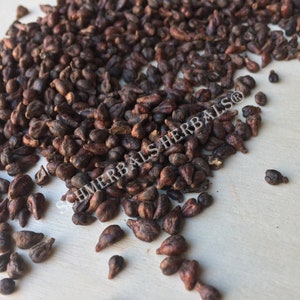 Dried Whole Grape Seed, Vitis vinifera, for Sale from Schmerbals Herbals®