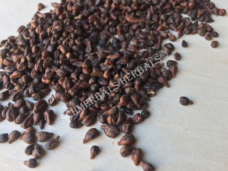 Dried Whole Grape Seed, Vitis vinifera, for Sale from Schmerbals Herbals®