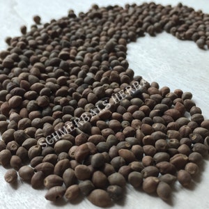 Whole All Natural Rivea Corymbosa, Untreated Viable Seeds for sale from Schmerbals Herbals