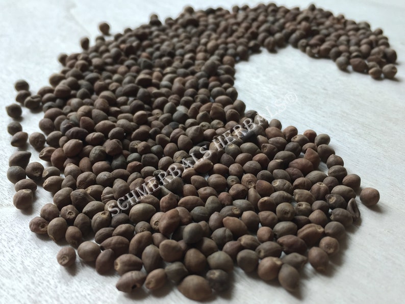 Whole All Natural Rivea Corymbosa, Untreated Viable Seeds for sale from Schmerbals Herbals